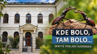 Výstava v Múzeu Andreja Kmeťa približuje vzácne a chránené druhy rastlín a živočíchov Slovenska