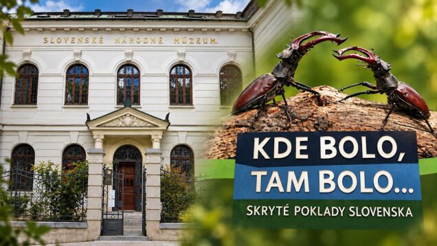 Výstava v Múzeu Andreja Kmeťa približuje vzácne a chránené druhy rastlín a živočíchov Slovenska