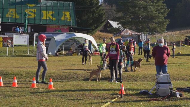  50 ,,fatranských vĺčkov“ sa zúčastnilo pretekov v behu po malebnej Jasenskej doline