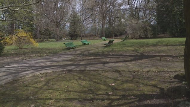 Čarovná muzeálna záhrada už nie je aj vďaka dobrovoľníkom zabudnutá, ale je to čoraz príjemnejšie miesto pre relax a oddych