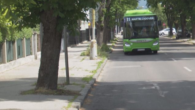 Ďalší kandidáti na poslancov, prázdninový režim MHD, hádzanári dostali na extraligu financie, športový  deň samospráv Turca