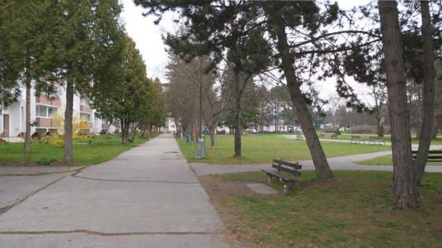Desiatky drevín a stovky kríkov bolo vysadených počas minulého roka. Množstvo zelene pribudlo v lokalite Pltníky i popri cyklotrase do Vrútok