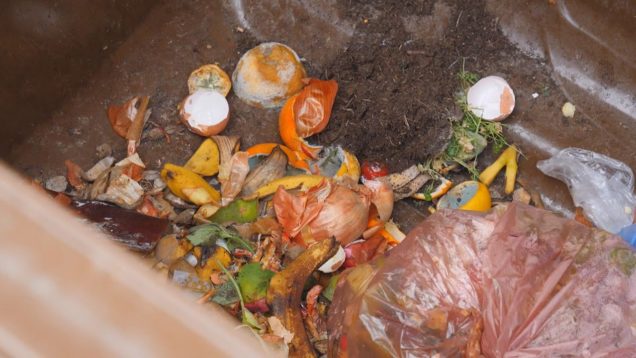 Kompostovateľné vrecká od tohto týždňa, Martinský jarmok už v septembri,  Prioritou župy je sociálna oblasť, Hľadá sa osobnosť Žilinského samosprávneho kraja