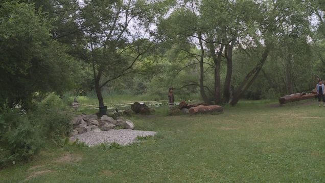 Košútska, resp. mestská pýcha – jazierko sa v týchto dňoch návštevníkom ponúka v plnej svojej kráse. Za relaxom a pozitívnou energiou tam prichádza množstvo ľudí