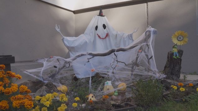 Košútske záhradky sú čoraz krajšie, ocenili tú najkrajšiu