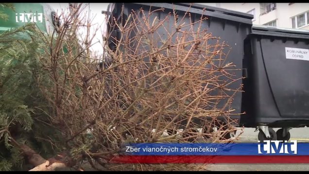 MHD v režime školského vyučovania, zber vianočných stromčekov, súťaž o ihrisko, mediačné poradenstvo 