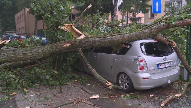 Silná búrka s krúpami narobila škody v Turci