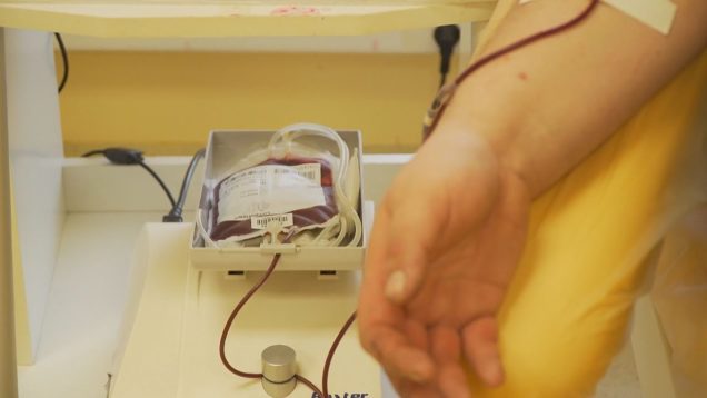 Svetový deň darcov krvi má poukázať na dôležitosť dobrovoľných darcov pri záchrane ľudských životov