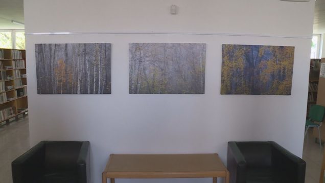 V priestoroch Turčianskej knižnice je inštalovaná výstava fotografických prác Milana Gondu