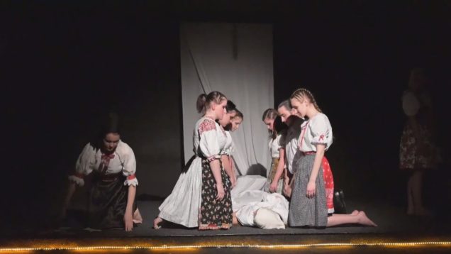 V rámci projektu „Večery s Martinským divadlom mladých“ môže široká verejnosť aj z pohodlia obývačky sledovať progres mladých hercov