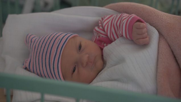 Vlani sa v martinskej pôrodnici narodilo o 11 detí viac ako rok predtým. Na svet prišlo najviac Elišiek a Jakubov