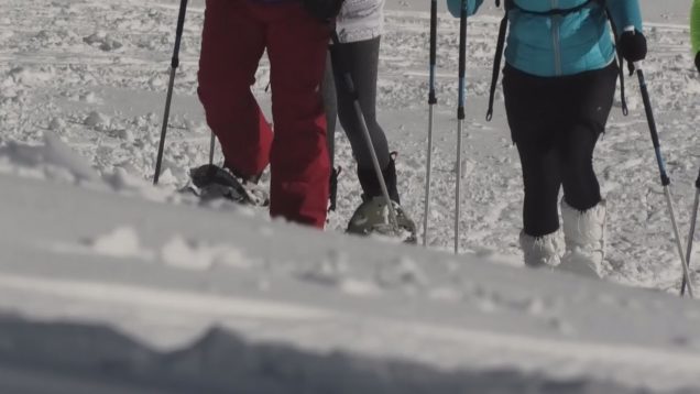 Voľné lyžovanie lesom sa často realizuje v chránených častiach prírody