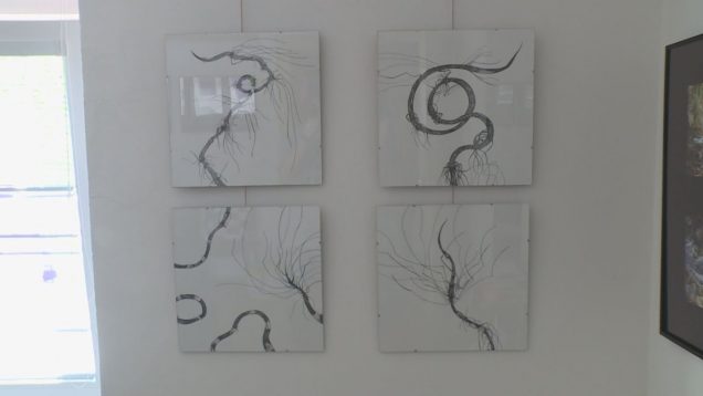 Výstava Premeny v Turčianskom kultúrnom stredisku v Martine