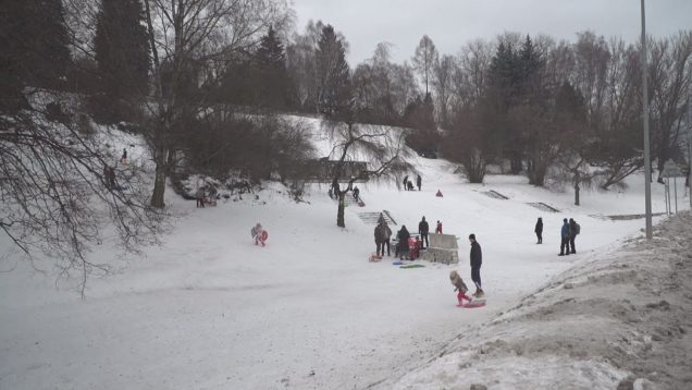 Za sánkovačkou nemusíte chodiť ďaleko. Priamo v meste Martin sú na sánkovanie vhodné podmienky