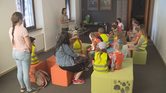 Záujem o prírodu a láska k nej sa u detí najlepšie buduje mimo školských lavíc formou zážitkového učenia