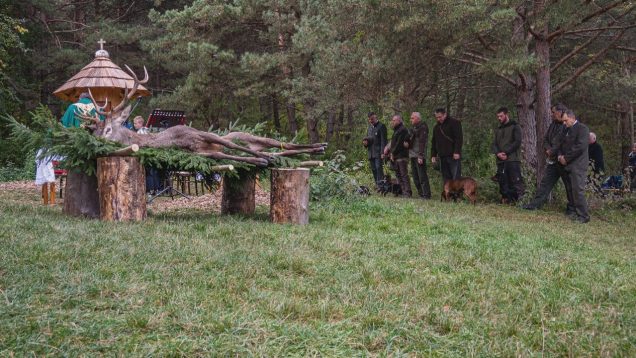 Zbierka pre dievčatá, Hraj za kraj, elektronické kolky v 765 pobočkách pošty, kaplnka sv. Huberta